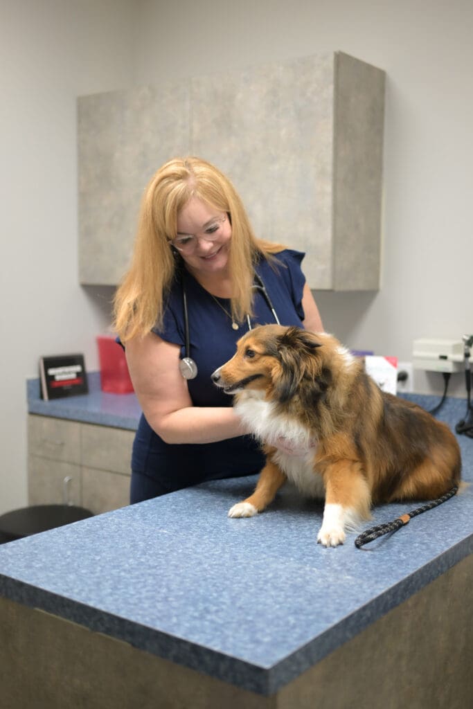 sand springs pet anesthesia veterinarians